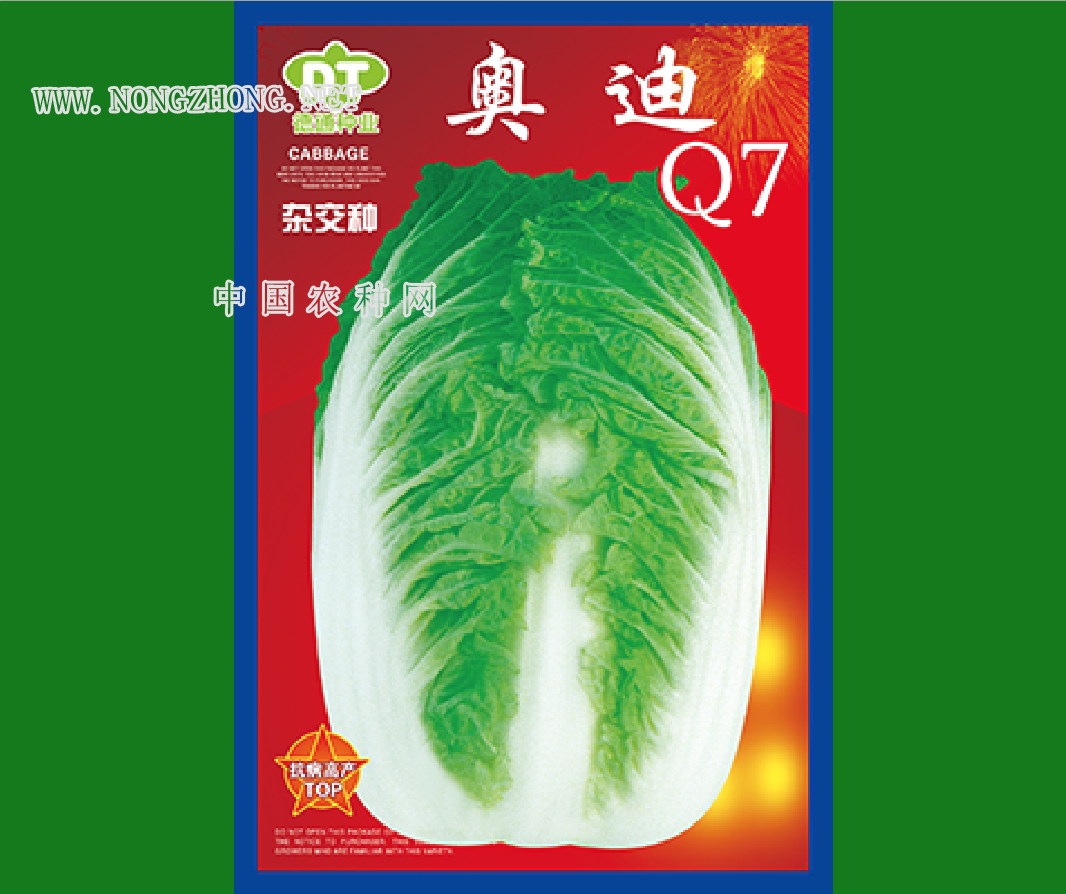 奥迪Q7